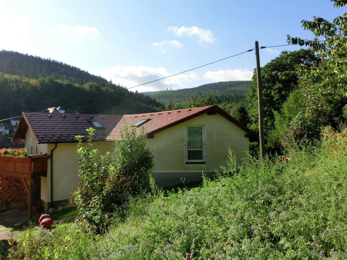 Cottage Near A Ski Resort Winterstein Esterno foto